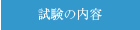 �����̓��e